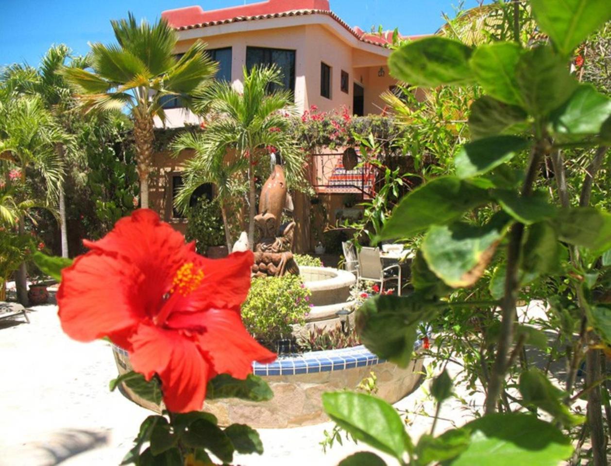 Hacienda De Palmas La Ribera Exterior foto